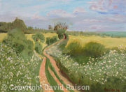 The Pilgrims Way, North Downs