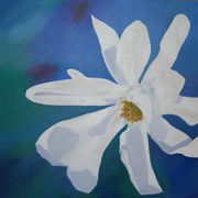 White Magnolia