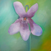 Wood Violet