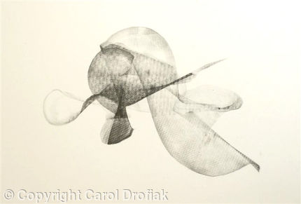 Untitled Drawing 2