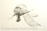 Untitled Drawing 2