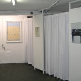 Tang Installation view