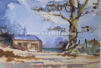 Country lane nr Alvechurch