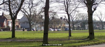The Common Pelsall