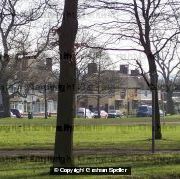 The Common Pelsall