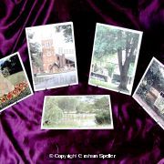 Pelsall Greeting Cards