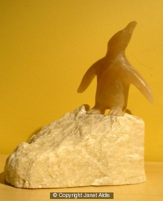 Pingu!