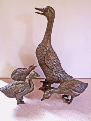 duck-family