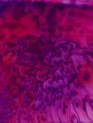 Deep magenta and Blackcurrant Scarf