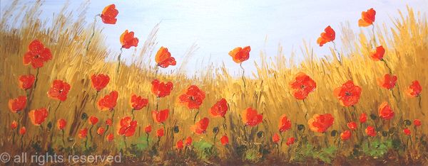 Natural Poppy Field2