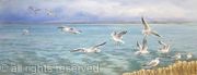 Seagull's Flight
