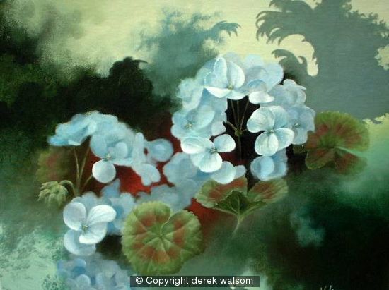 White geraniums