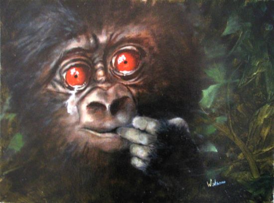plight of the gorillas