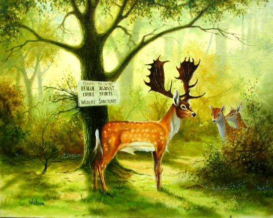 deer sanctuary