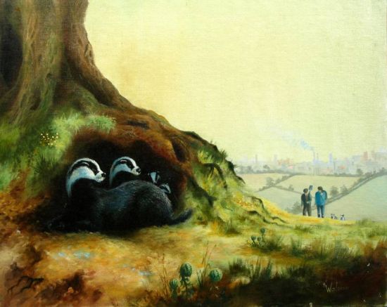 badgers at risk