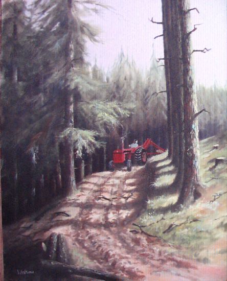 logging