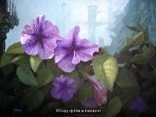 Floral fantasy 2