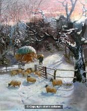 winter feed