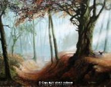 Woodland 4