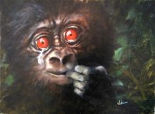 plight of the gorillas