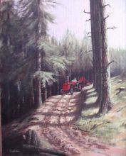 logging