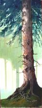 Lonesome pine