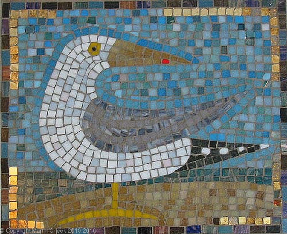 Herring Gull