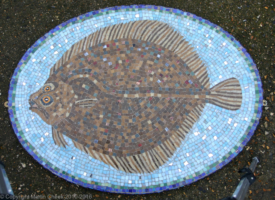 Turbot