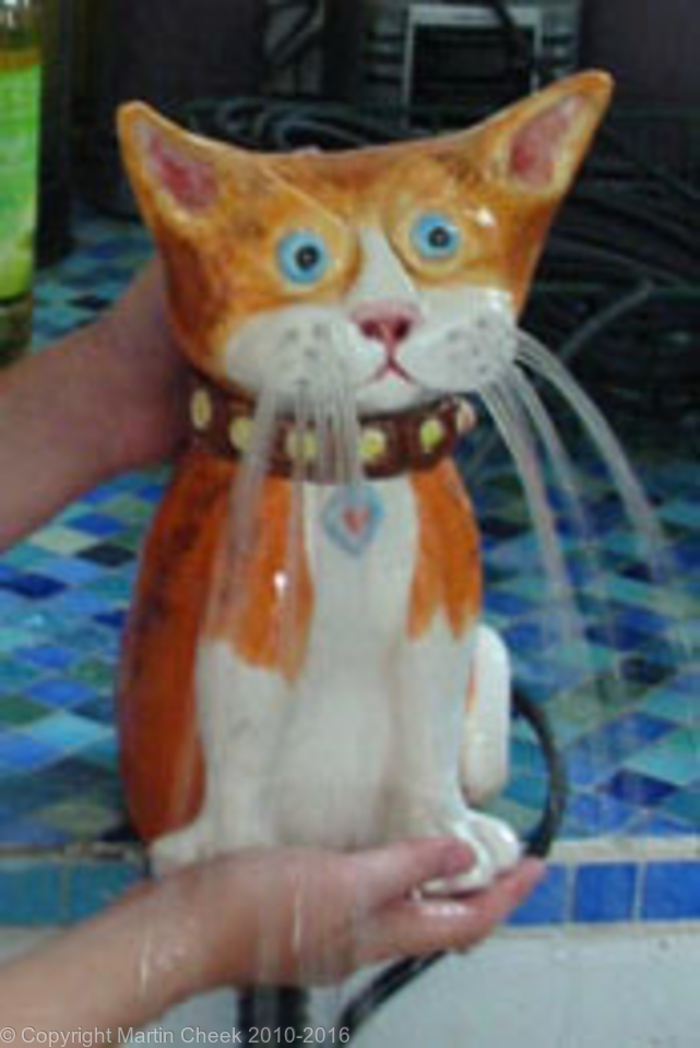 Ginger Cat Fountain