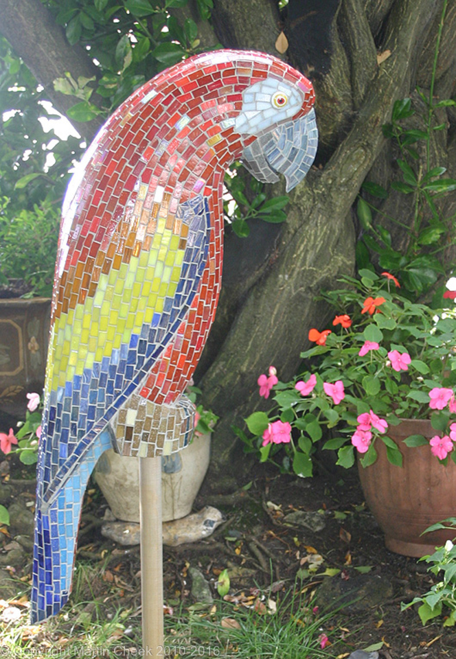 Macaw