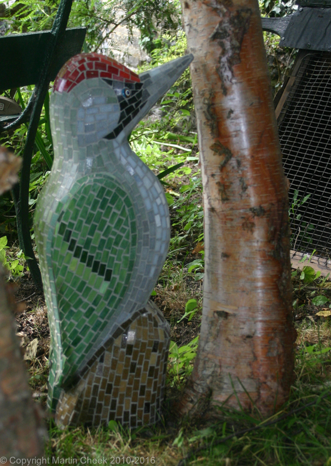 Green Woodpecker