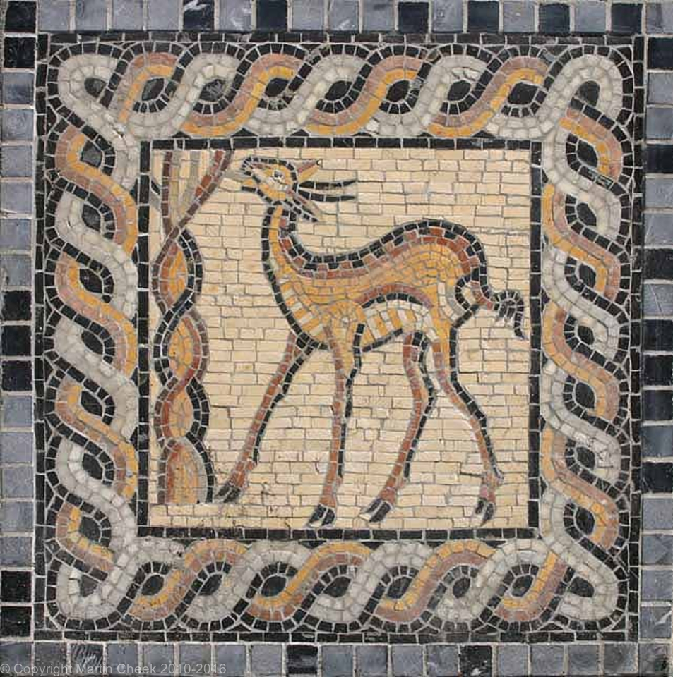 Deer 1