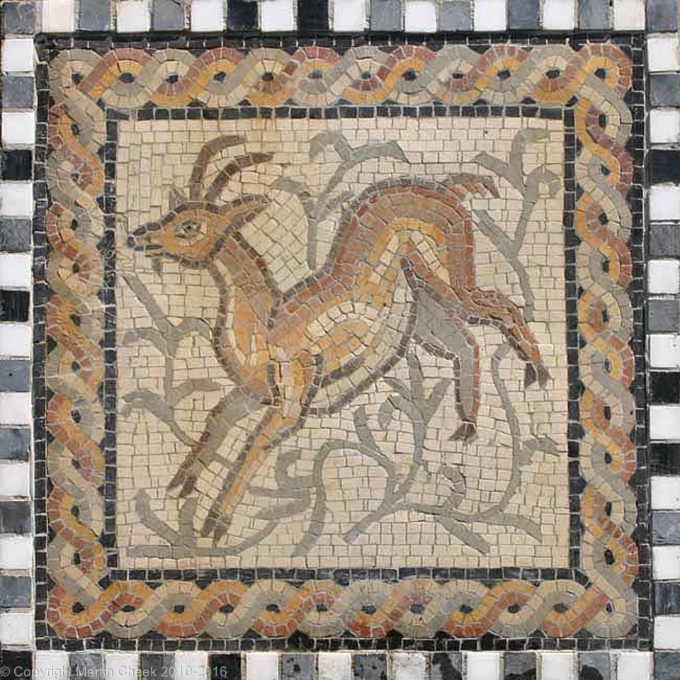 Deer 3