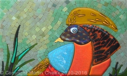 Golden Pheasant