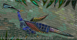 Running Peacock