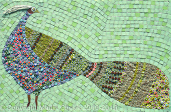 Green Pheasant