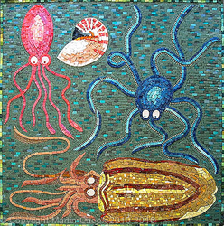 Cephalopods