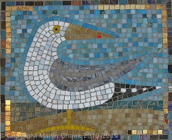 Herring Gull