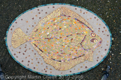 Turbot