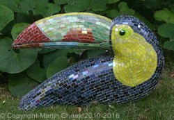 Toucan