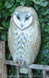 Barn Owl