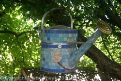 Willie Wateringcan