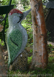 Green Woodpecker