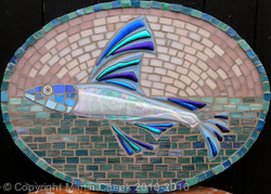 Flying Fish #3