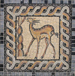 Deer 1