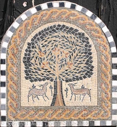 tree of Life