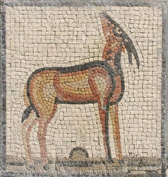 Deer 2