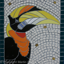Hornbill