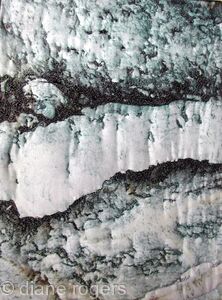 Cork Bark