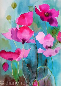 Poppies